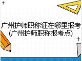 广州护师职称证在哪里报考(广州护师职称报考点)