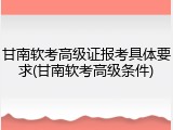 甘南软考高级证报考具体要求(甘南软考高级条件)