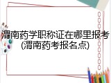 渭南药学职称证在哪里报考(渭南药考报名点)