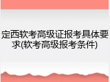 定西软考高级证报考具体要求(软考高级报考条件)