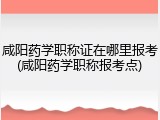 咸阳药学职称证在哪里报考(咸阳药学职称报考点)