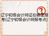 辽宁初级会计师证在哪里报考(辽宁初级会计师报考点)