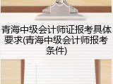 青海中级会计师证报考具体要求(青海中级会计师报考条件)