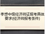 孝感中级经济师证报考具体要求(经济师报考条件)