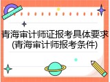 青海审计师证报考具体要求(青海审计师报考条件)