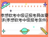 孝感软考中级证报考具体要求(孝感软考中级报考条件)