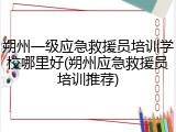 朔州一级应急救援员培训学校哪里好(朔州应急救援员培训推荐)