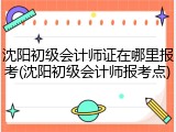 沈阳初级会计师证在哪里报考(沈阳初级会计师报考点)