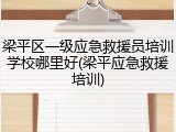 梁平区一级应急救援员培训学校哪里好(梁平应急救援培训)