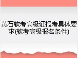 黄石软考高级证报考具体要求(软考高级报名条件)