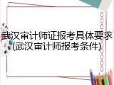 武汉审计师证报考具体要求(武汉审计师报考条件)