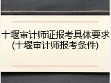 十堰审计师证报考具体要求(十堰审计师报考条件)
