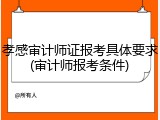 孝感审计师证报考具体要求(审计师报考条件)