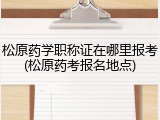 松原药学职称证在哪里报考(松原药考报名地点)