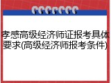 孝感高级经济师证报考具体要求(高级经济师报考条件)