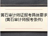 黄石审计师证报考具体要求(黄石审计师报考条件)