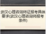 武汉心理咨询师证报考具体要求(武汉心理咨询师报考条件)