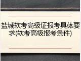 盐城软考高级证报考具体要求(软考高级报考条件)