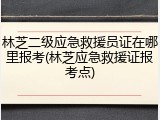 林芝二级应急救援员证在哪里报考(林芝应急救援证报考点)