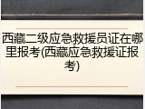 西藏二级应急救援员证在哪里报考(西藏应急救援证报考)