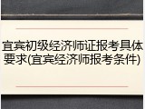 宜宾初级经济师证报考具体要求(宜宾经济师报考条件)