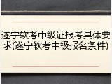 遂宁软考中级证报考具体要求(遂宁软考中级报名条件)