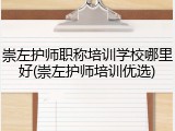 崇左护师职称培训学校哪里好(崇左护师培训优选)