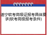 遂宁软考高级证报考具体要求(软考高级报考条件)
