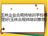 玉林企业合规师培训学校哪里好(玉林合规师培训推荐)