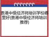 贵港中级经济师培训学校哪里好(贵港中级经济师培训推荐)