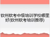 钦州软考中级培训学校哪里好(钦州软考培训推荐)