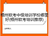 梧州软考中级培训学校哪里好(梧州软考培训推荐)