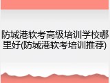 防城港软考高级培训学校哪里好(防城港软考培训推荐)