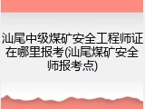 汕尾中级煤矿安全工程师证在哪里报考(汕尾煤矿安全师报考点)