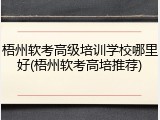 梧州软考高级培训学校哪里好(梧州软考高培推荐)