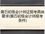 黄石初级会计师证报考具体要求(黄石初级会计师报考条件)