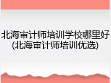 北海审计师培训学校哪里好(北海审计师培训优选)