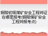 铜陵初级煤矿安全工程师证在哪里报考(铜陵煤矿安全工程师报考点)