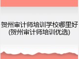 贺州审计师培训学校哪里好(贺州审计师培训优选)