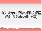 汕头软考中级培训学校哪里好(汕头软考培训推荐)