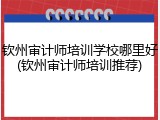 钦州审计师培训学校哪里好(钦州审计师培训推荐)