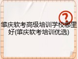 肇庆软考高级培训学校哪里好(肇庆软考培训优选)