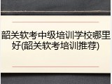 韶关软考中级培训学校哪里好(韶关软考培训推荐)