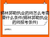 锡林郭勒执业药师怎么考需要什么条件(锡林郭勒执业药师报考条件)