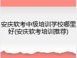 安庆软考中级培训学校哪里好(安庆软考培训推荐)