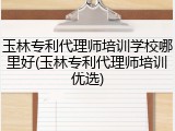 玉林专利代理师培训学校哪里好(玉林专利代理师培训优选)