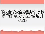 肇庆食品安全总监培训学校哪里好(肇庆食安总监培训优选)