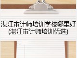 湛江审计师培训学校哪里好(湛江审计师培训优选)