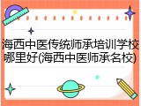 海西中医传统师承培训学校哪里好(海西中医师承名校)