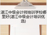 湛江中级会计师培训学校哪里好(湛江中级会计培训优选)
